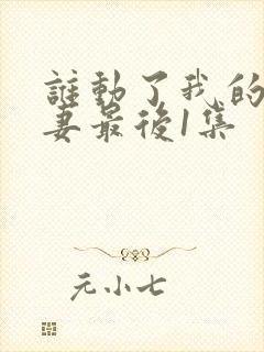 谁动了我的未婚妻最后1集