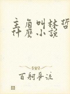 主角叫林哲的是什么小说