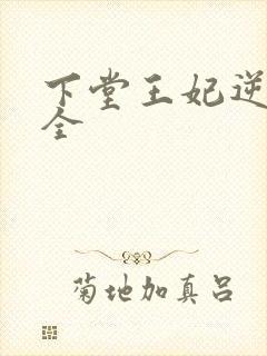 下堂王妃逆袭记全