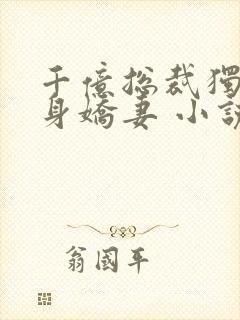 千亿总裁独宠替身娇妻 小说