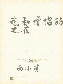 我和僧侣的交合之夜