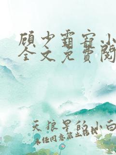 顾少霸宠小娇妻全文免费阅读