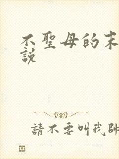 不圣母的末世小说