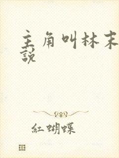 主角叫林末的小说