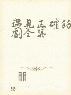 遇见正确的你短剧全集