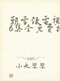 朝雪录电视剧36集全免费播放下载