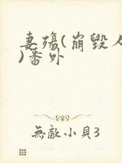 妻殇(崩毁人生)番外