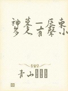 神墓—辰东免费多人有声小说