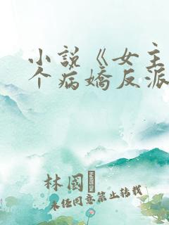 小说《女主她是个病娇反派》