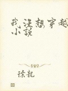 我没想穿越啊 小说