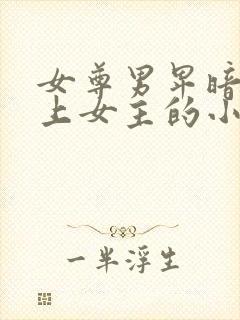 女尊男卑暗卫爱上女主的小说