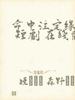 命中注定缘归来 短剧 在线观看