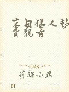 末日狠人动漫免费观看