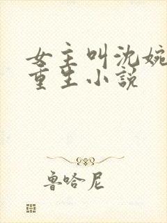 女主叫沈婉婉的重生小说