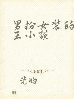 男扮女装的双男主小说