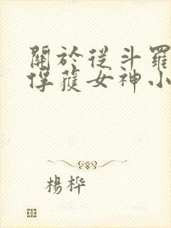 关于从斗罗开始俘获女神小说