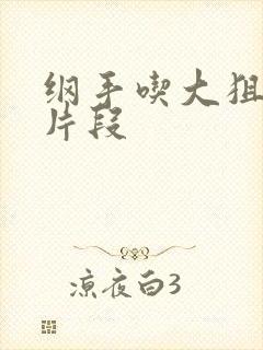 纲手吃大狙动画片段