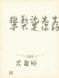 抱歉沈先生,孩子不是你的短剧版