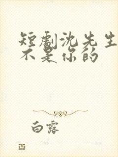 短剧沈先生孩子不是你的