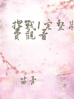 捍战1完整版免费观看