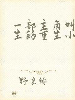 一部主角叫叶长生的重生小说