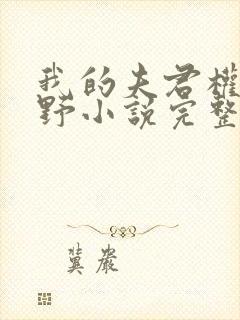 我的夫君权倾朝野小说完整版