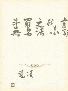 斗罗之我有一本无名法 小说