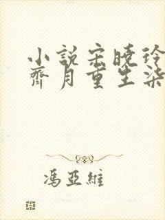 小说宋晓玲王栋齐月重生柒零,我不嫁渣男