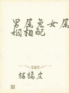 男属兔女属马婚姻相配