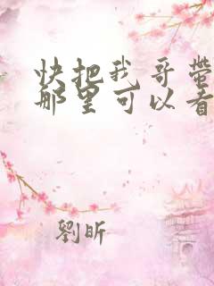 快把我哥带走在那里可以看