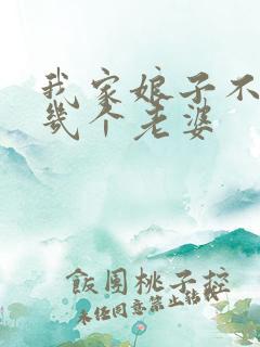 我家娘子不对劲几个老婆