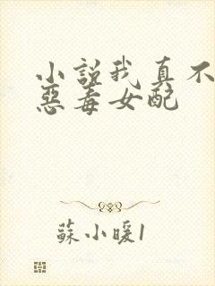 小说我真不想做恶毒女配