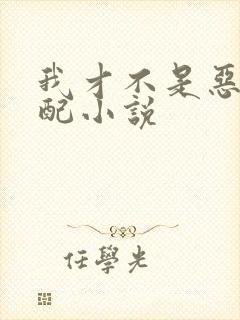 我才不是恶毒女配小说