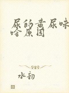 尿的黄尿味重是啥原因