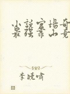 小说官场奇才:最强靠山竟是我自己李霖在