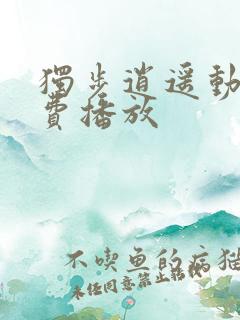 独步逍遥动漫免费播放