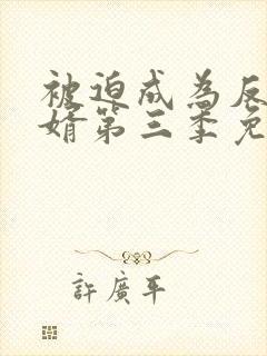 被迫成为反派赘婿第三季免费观看全集