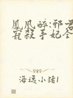 凤凰醉:邪君盛宠杀手妃全文阅读免费