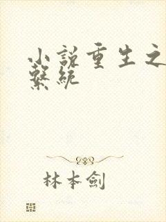 小说重生之最强系统