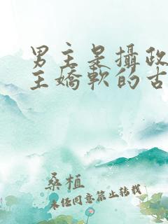 男主是摄政王女主娇软的古言