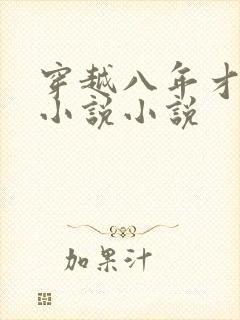 穿越八年才出道小说小说