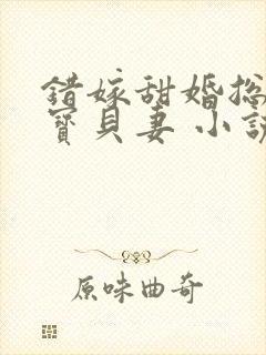 错嫁甜婚总裁的宝贝妻 小说完整板