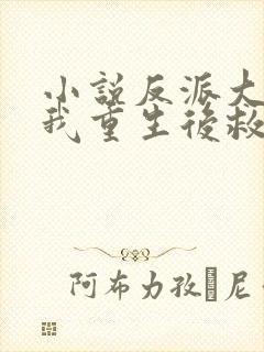 小说反派大佬让我重生后救他