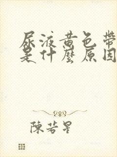 尿液黄色带泡沫是什么原因