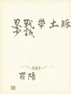 忍战带土账号多少钱