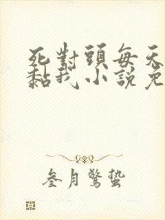 死对头每天都在黏我小说免费阅读