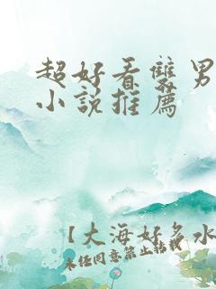 超好看双男主的小说推荐