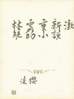 林云重新激活系统的小说