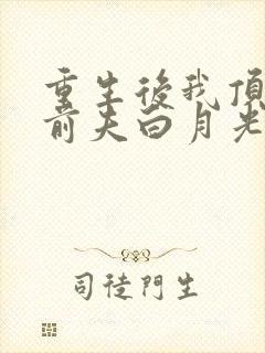 重生后我顶替了前夫白月光原著作者