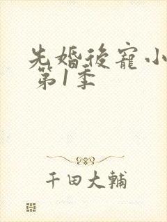 先婚后宠小娇妻 第1季